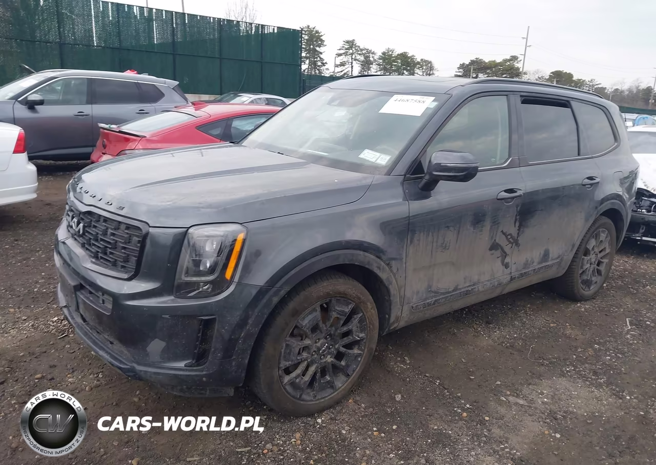 2022 Kia Telluride Ex VIN:5XYP3DHC8NG216983 - 2