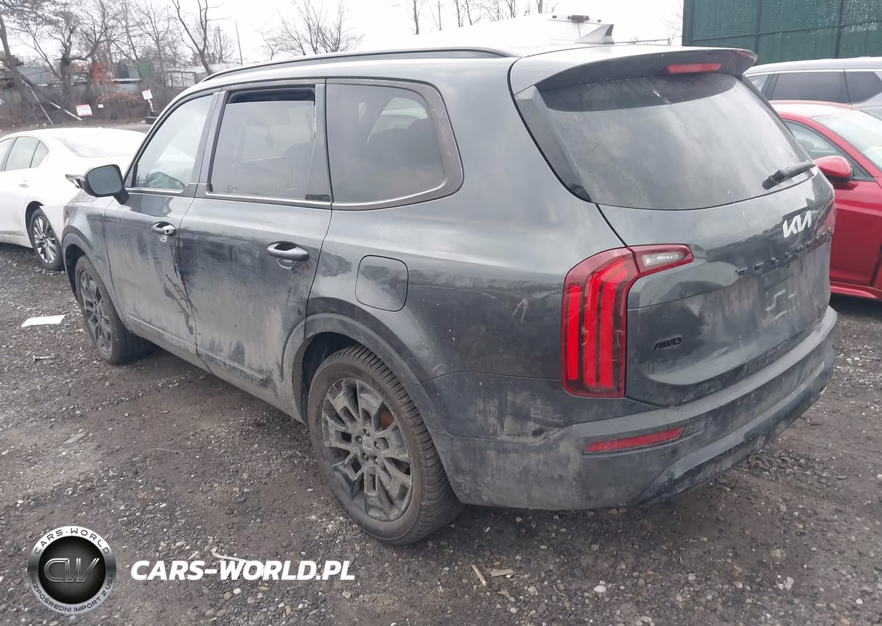 2022 Kia Telluride Ex VIN:5XYP3DHC8NG216983 - 3