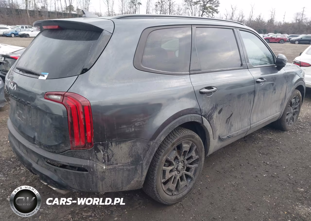 2022 Kia Telluride Ex VIN:5XYP3DHC8NG216983 - 4
