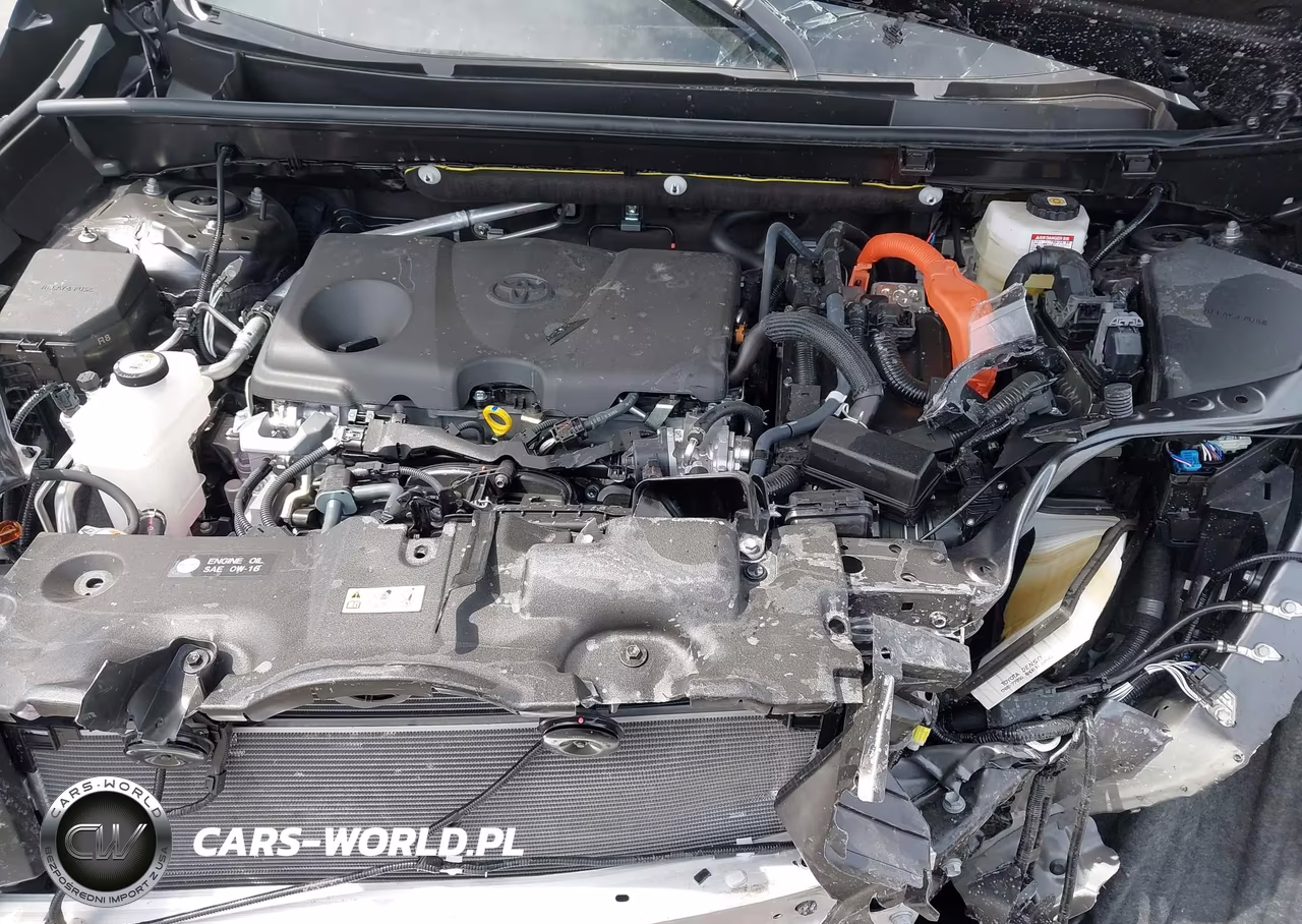 2025 Toyota Rav4 Hybrid Xle VIN:JTMRWRFV9SJ083535 - 10