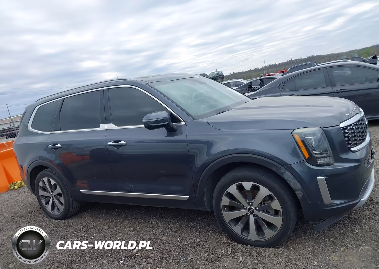 2020 Kia Telluride S VIN:5XYP64HC5LG004966 - 13