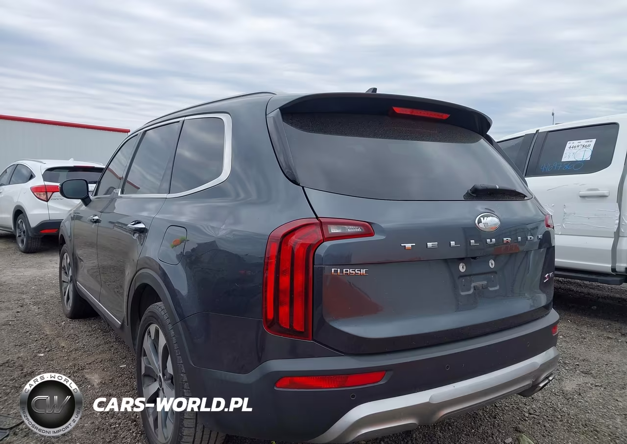 2020 Kia Telluride S VIN:5XYP64HC5LG004966 - 3