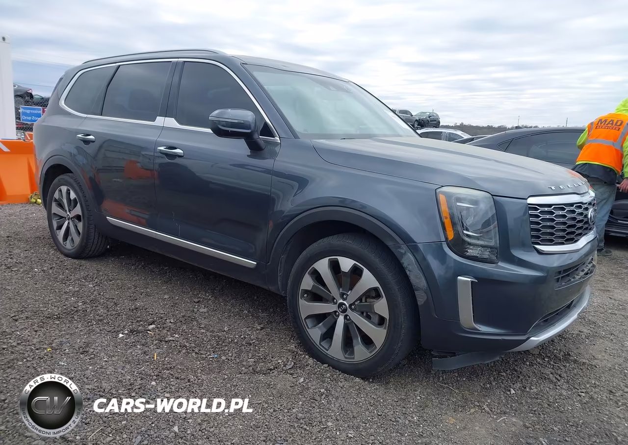 2020 Kia Telluride S VIN:5XYP64HC5LG004966 - 6
