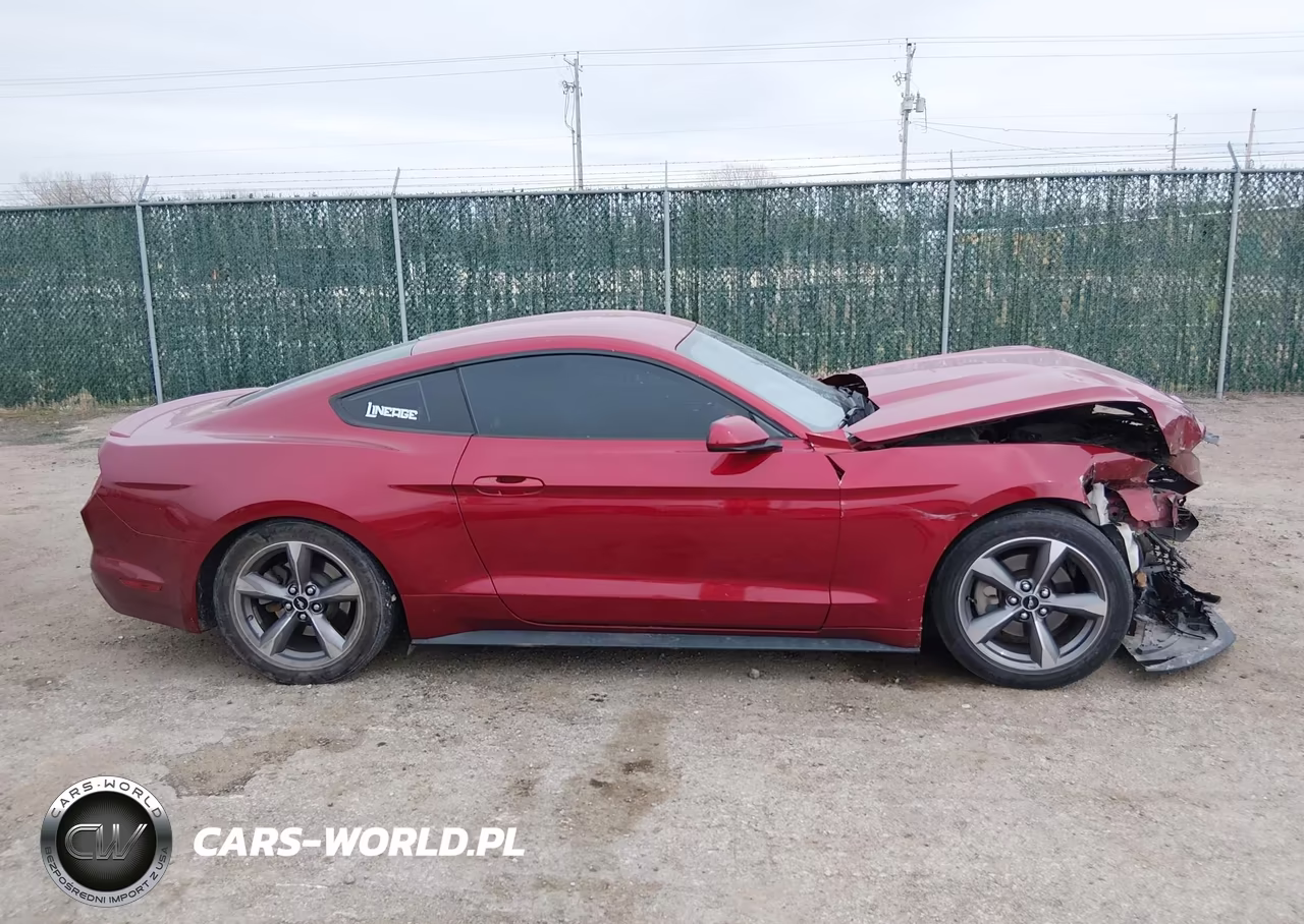 2016 Ford Mustang Ecoboost VIN:1FA6P8TH9G5211724 - 13
