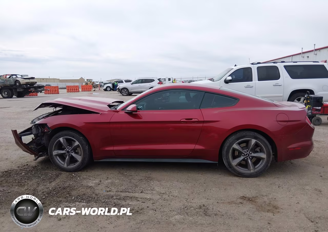 2016 Ford Mustang Ecoboost VIN:1FA6P8TH9G5211724 - 14