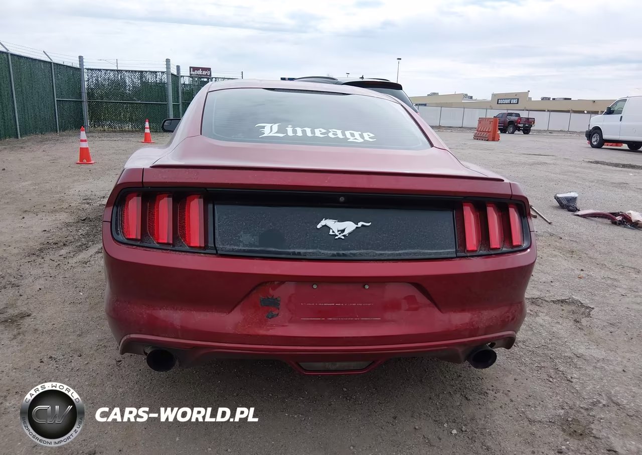 2016 Ford Mustang Ecoboost VIN:1FA6P8TH9G5211724 - 16