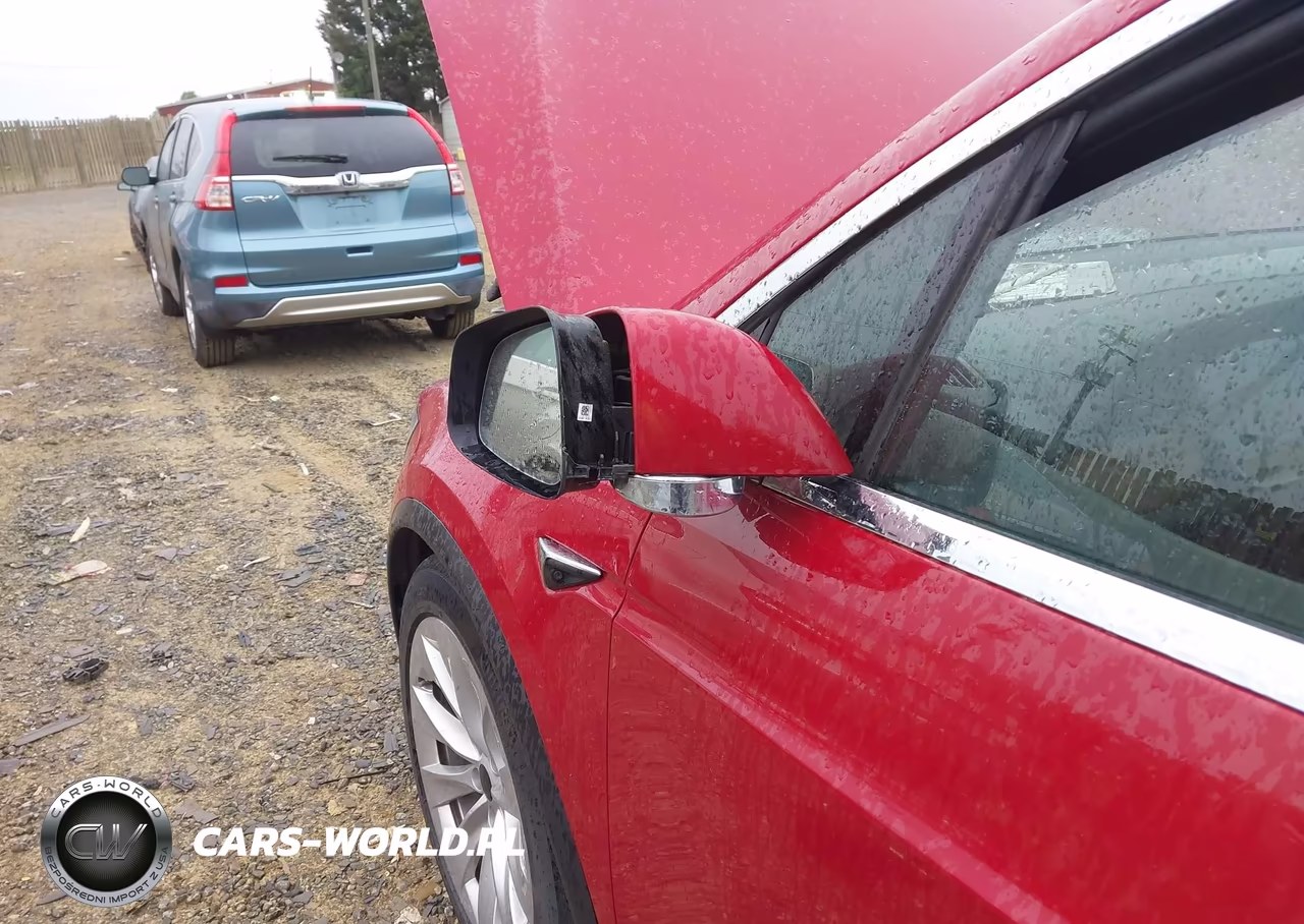 2019 Tesla Model X P100D-Performance VIN:5YJXCDE44KF180418 - 11