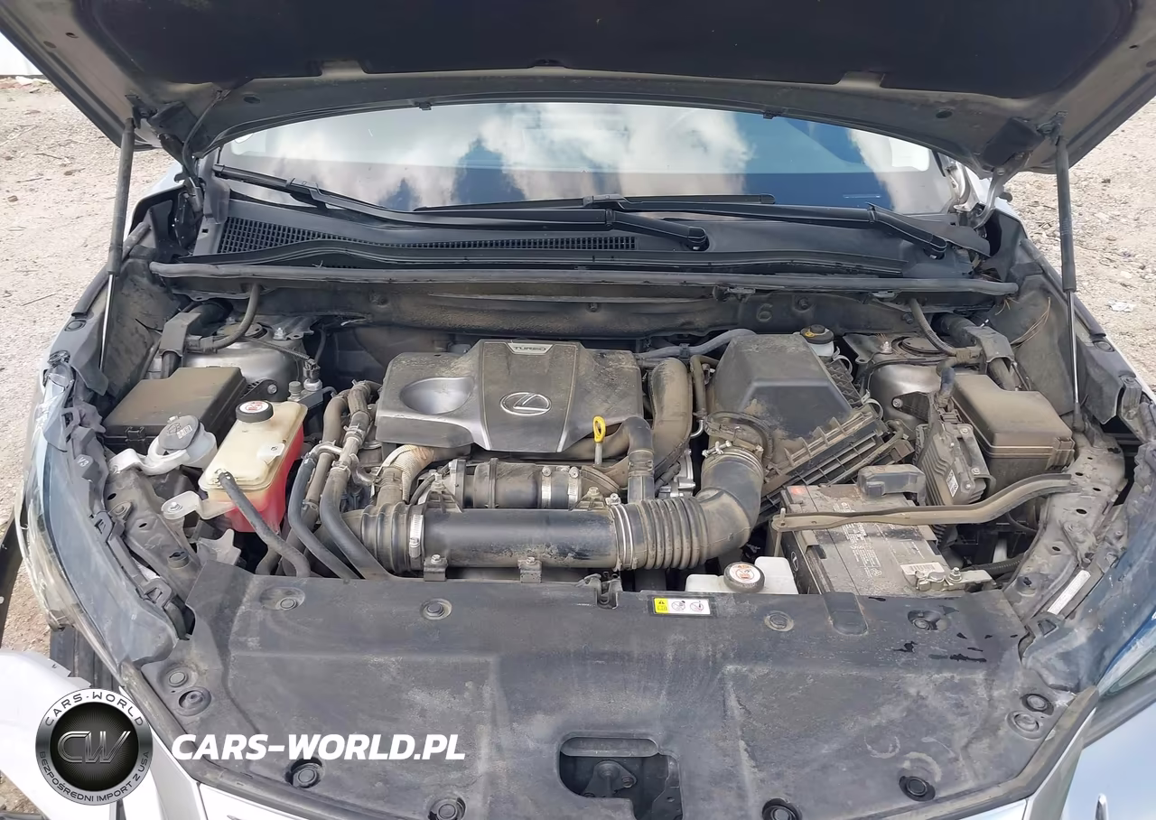 2020 Lexus Nx 300 VIN:JTJDARBZ8L2171793 - 10