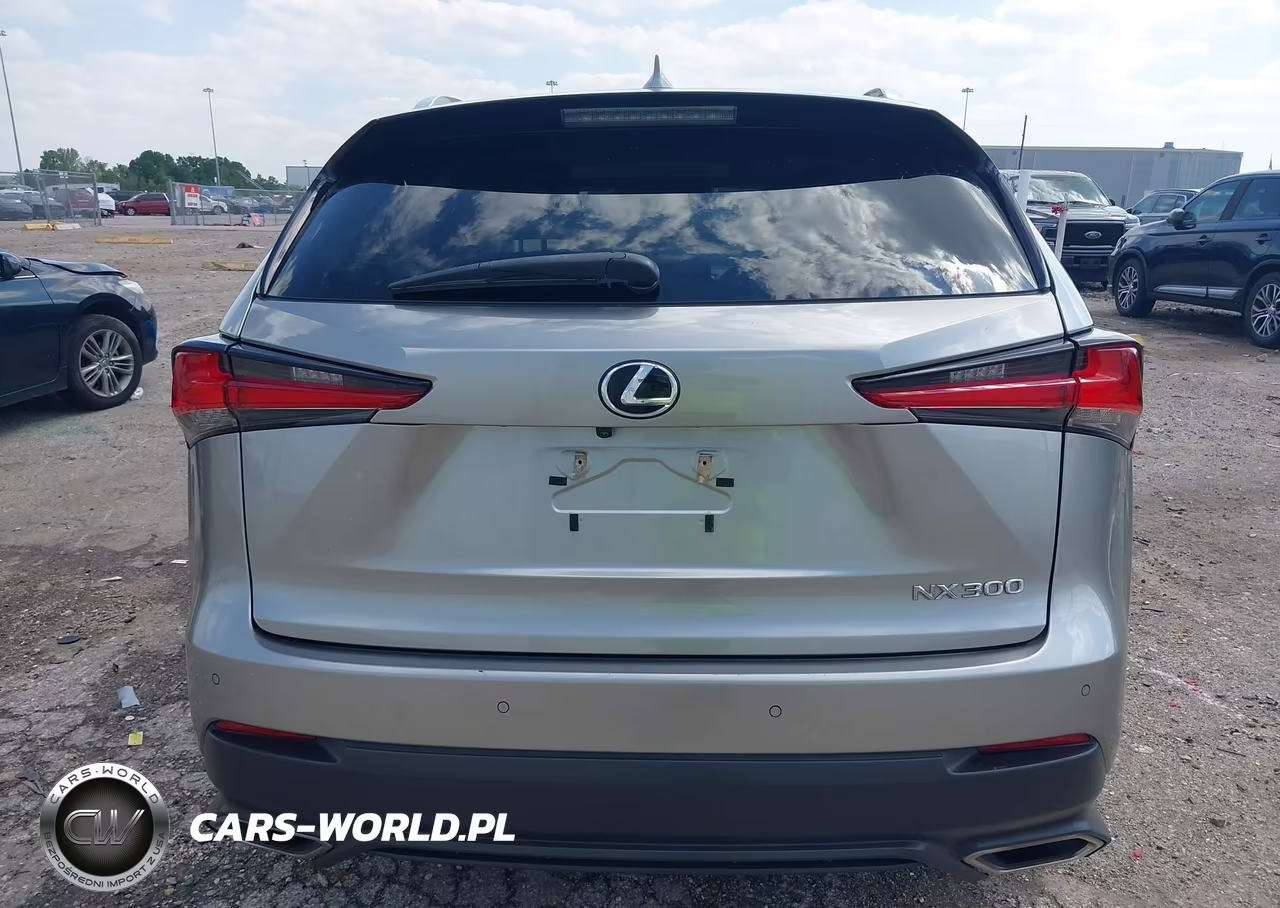 2020 Lexus Nx 300 VIN:JTJDARBZ8L2171793 - 16