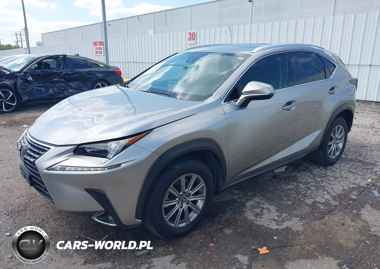 2020 Lexus Nx 300 VIN:JTJDARBZ8L2171793 - 2