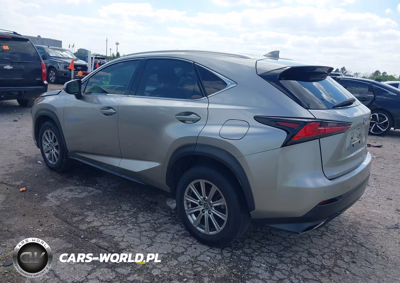 2020 Lexus Nx 300 VIN:JTJDARBZ8L2171793 - 3