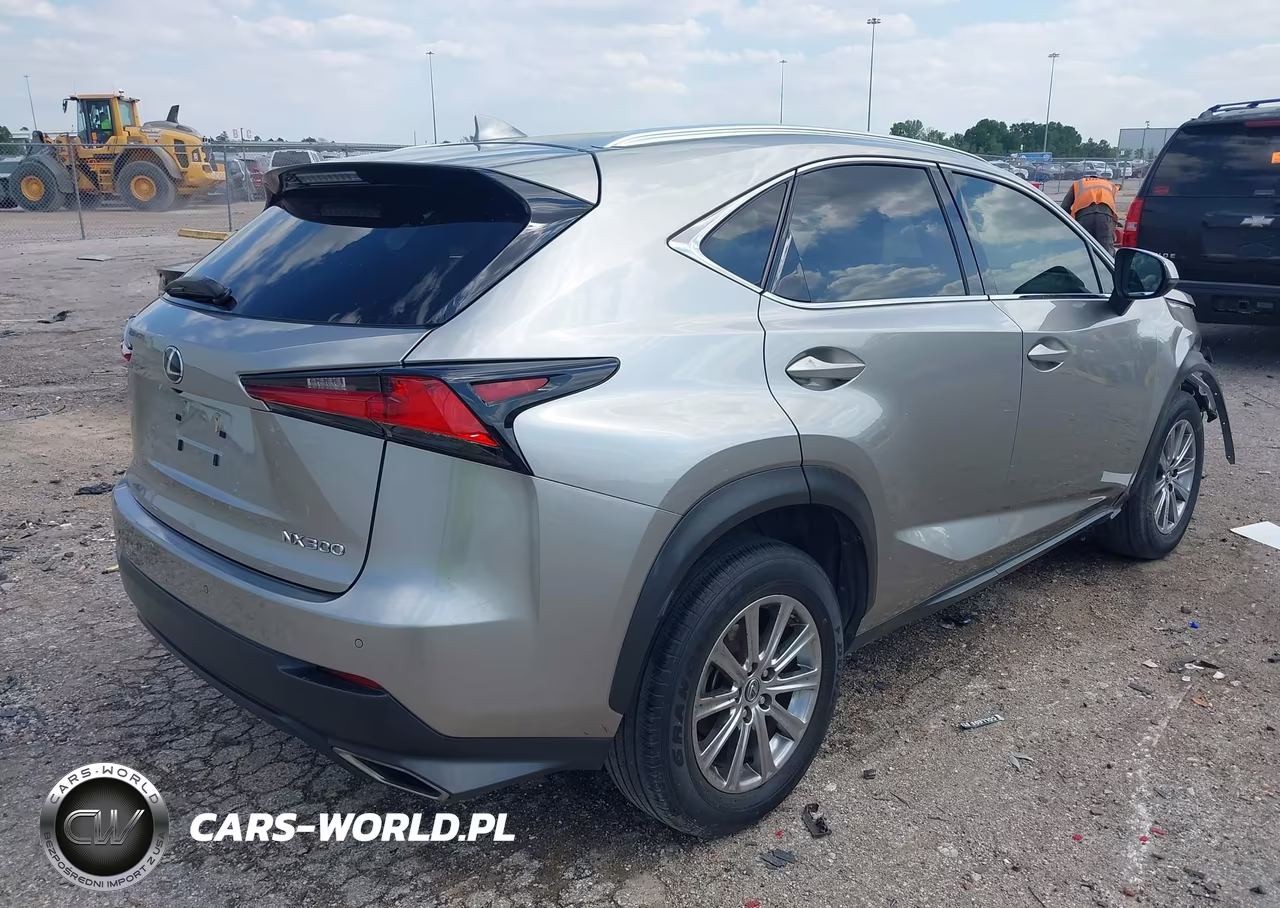 2020 Lexus Nx 300 VIN:JTJDARBZ8L2171793 - 4