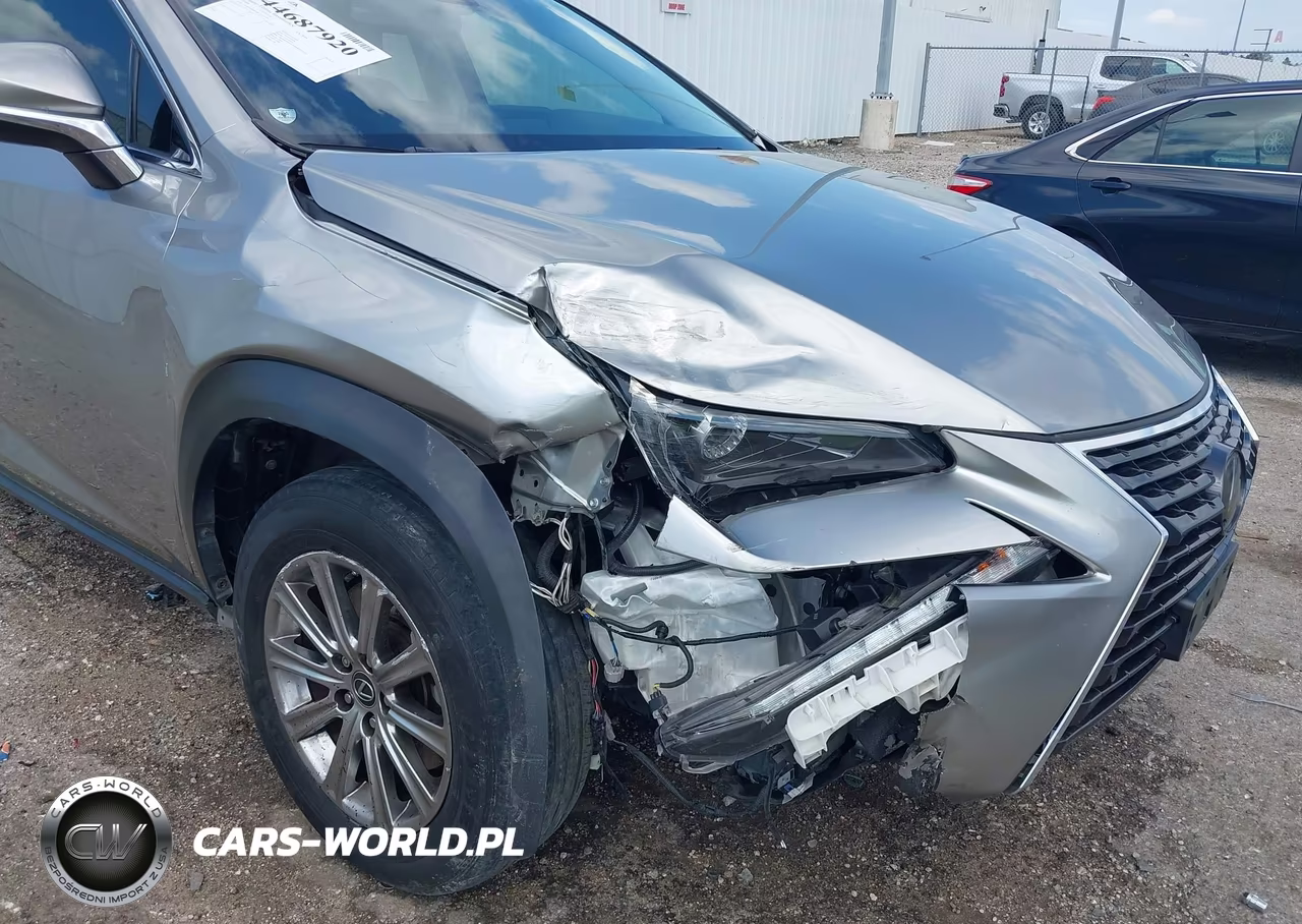 2020 Lexus Nx 300 VIN:JTJDARBZ8L2171793 - 6