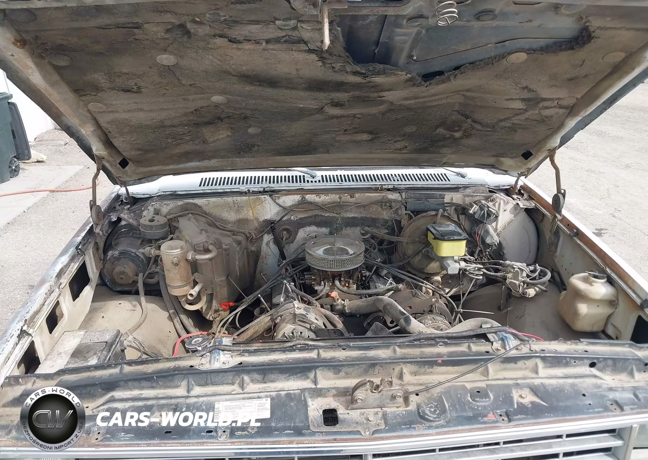 1981 Chevrolet C10 VIN:1GCEC14H2BS185372 - 10