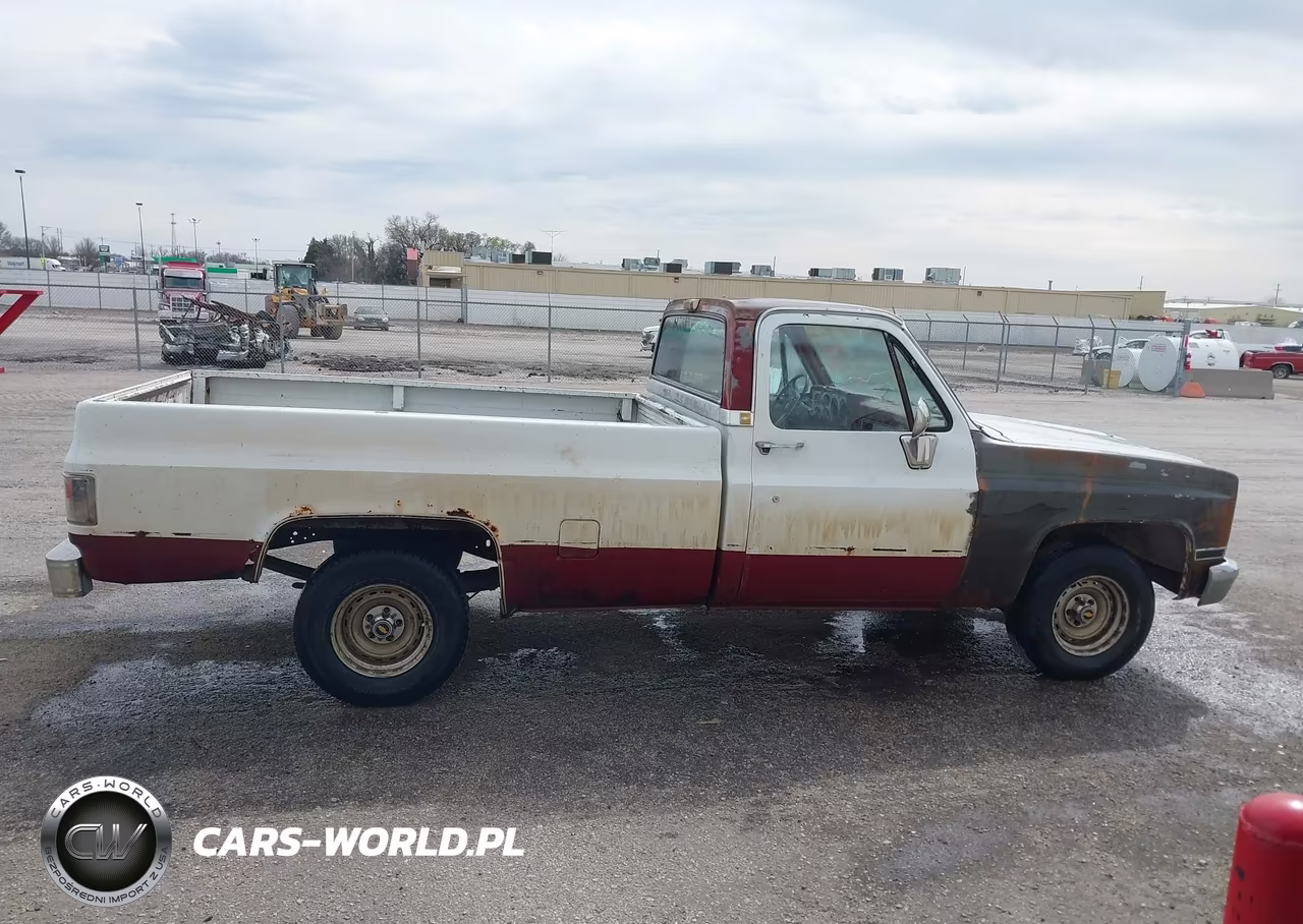 1981 Chevrolet C10 VIN:1GCEC14H2BS185372 - 13