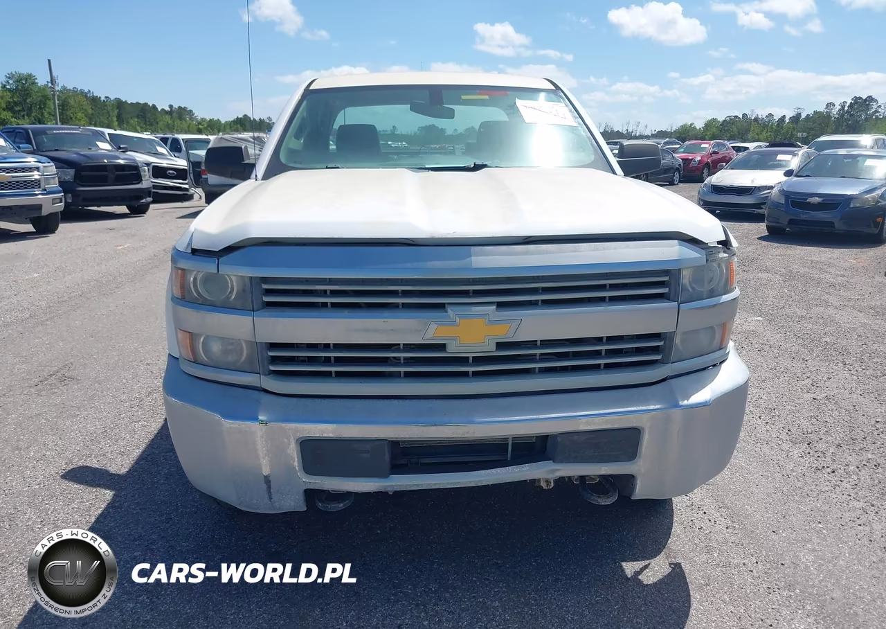 2016 Chevrolet Silverado 2500Hd Wt VIN:1GC1KUEG3GF187754 - 12