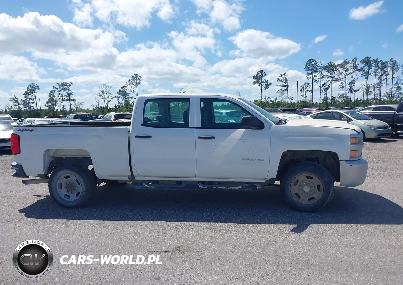 2016 Chevrolet Silverado 2500Hd Wt VIN:1GC1KUEG3GF187754 - 13