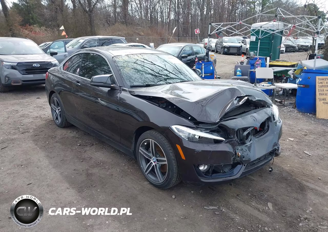 2017 BMW 230I
