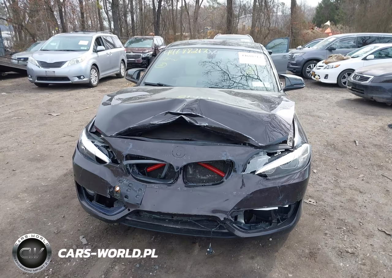 2017 BMW 230I VIN:WBA2F9C50HV664278 - 12