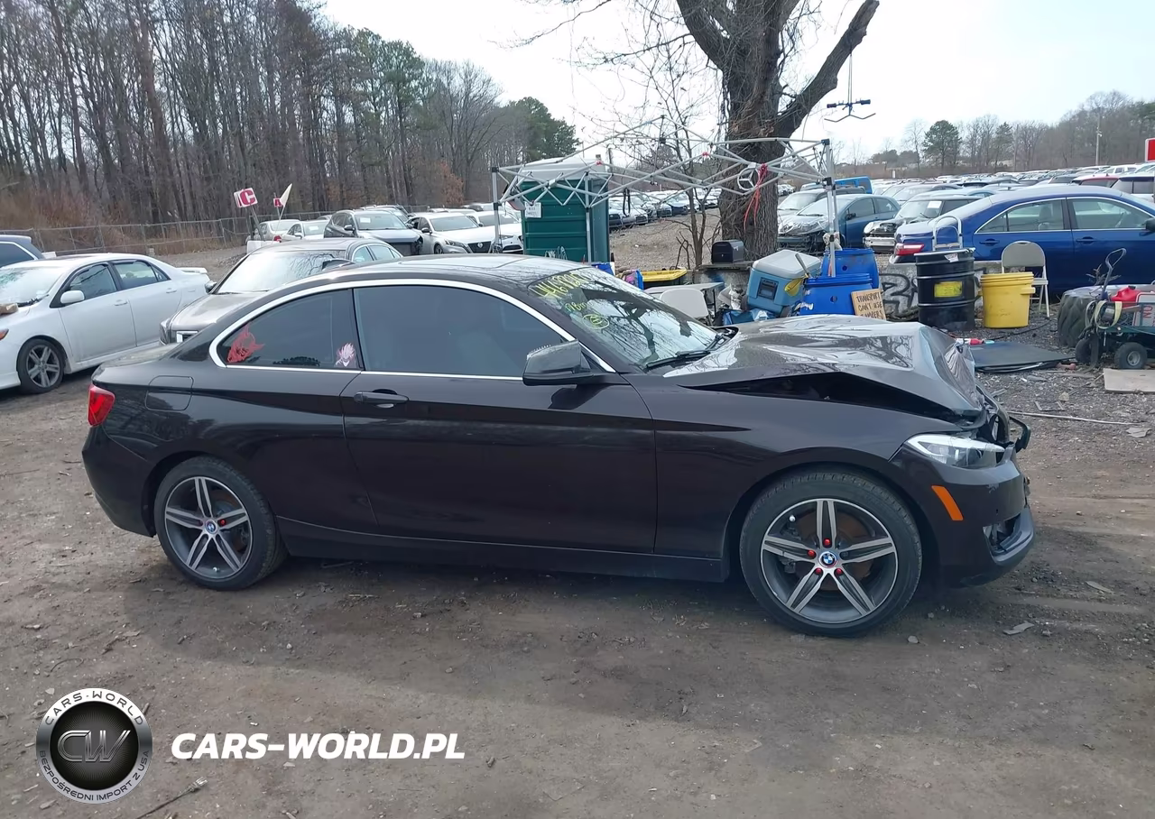 2017 BMW 230I VIN:WBA2F9C50HV664278 - 13