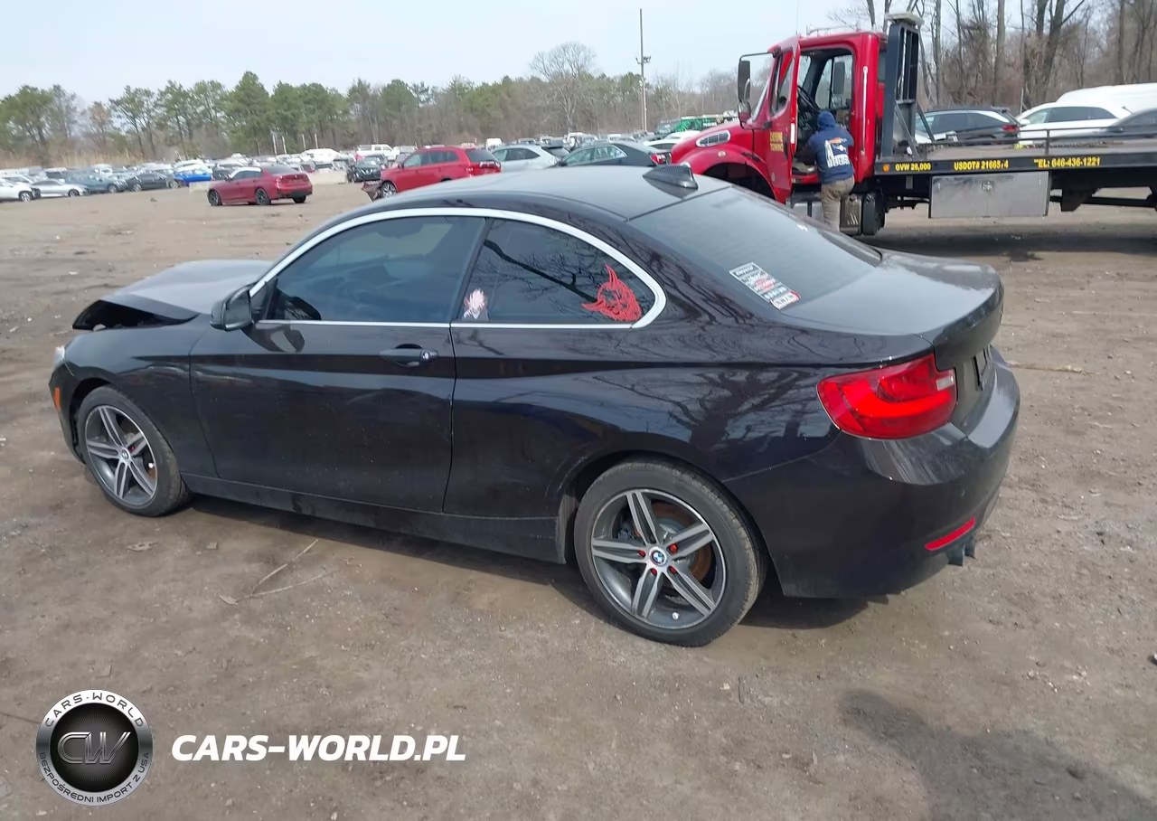 2017 BMW 230I VIN:WBA2F9C50HV664278 - 14