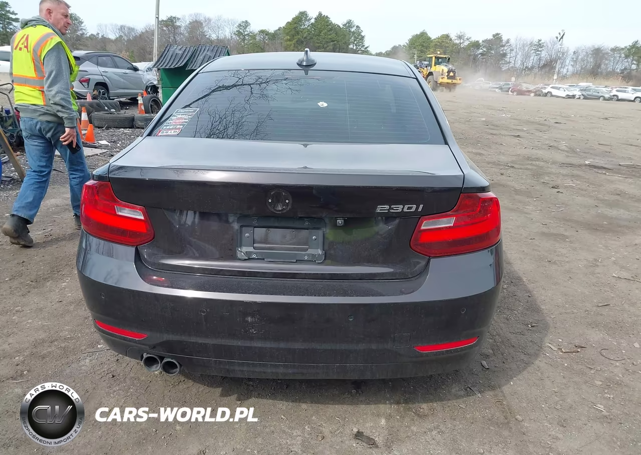 2017 BMW 230I VIN:WBA2F9C50HV664278 - 16