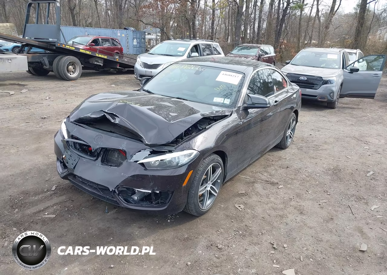 2017 BMW 230I VIN:WBA2F9C50HV664278 - 2