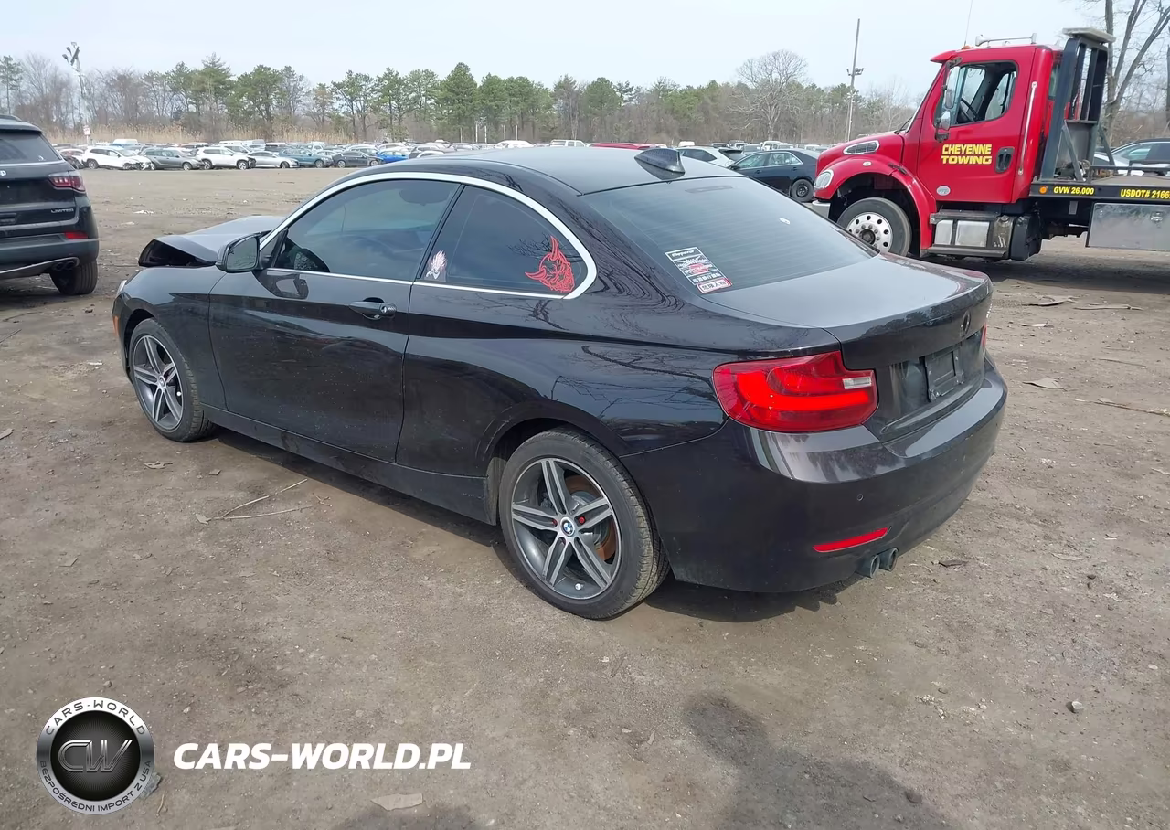 2017 BMW 230I VIN:WBA2F9C50HV664278 - 3
