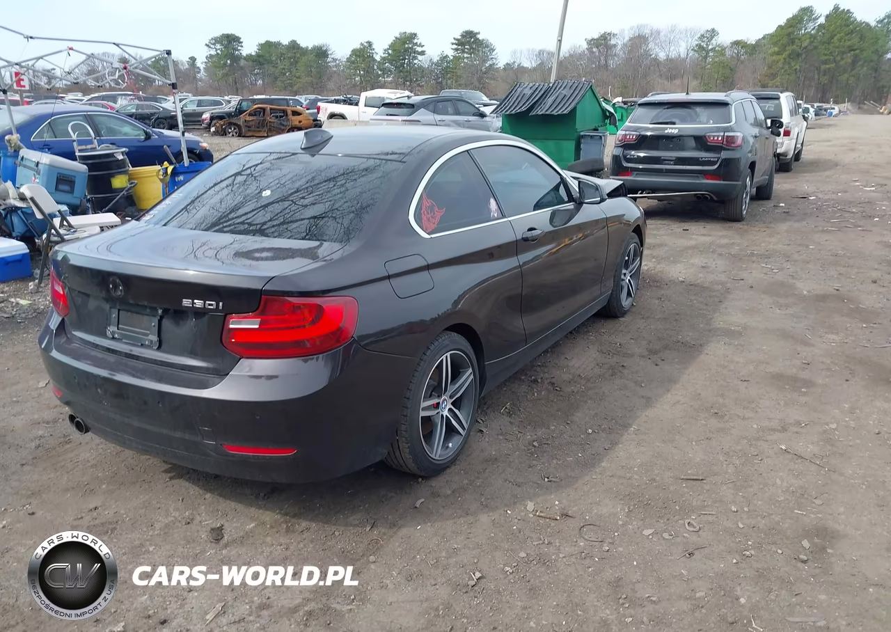 2017 BMW 230I VIN:WBA2F9C50HV664278 - 4