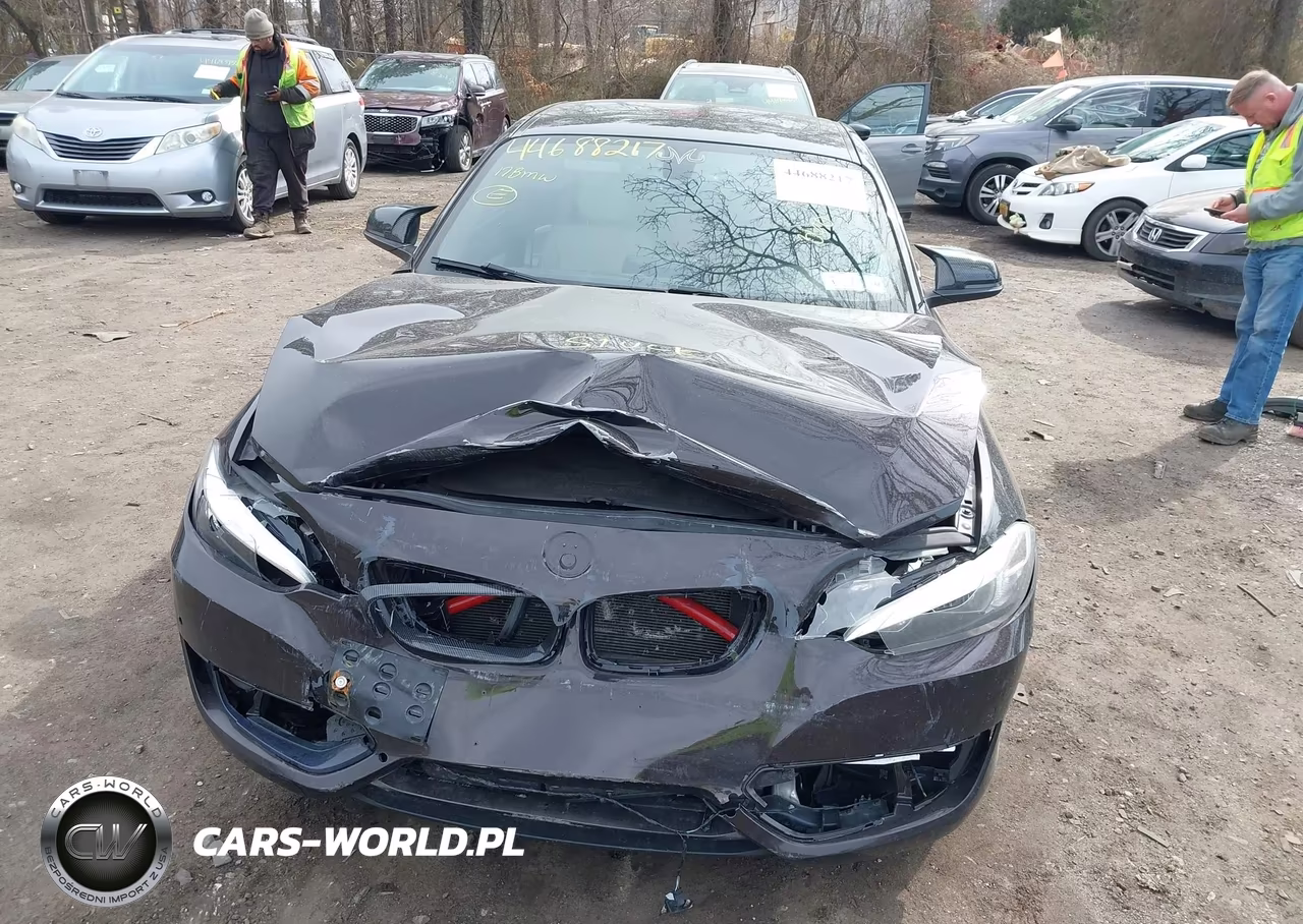 2017 BMW 230I VIN:WBA2F9C50HV664278 - 6