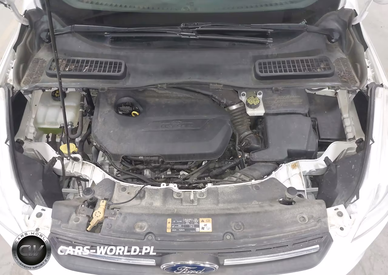 2014 Ford Escape Se VIN:1FMCU9GX9EUA21983 - 10