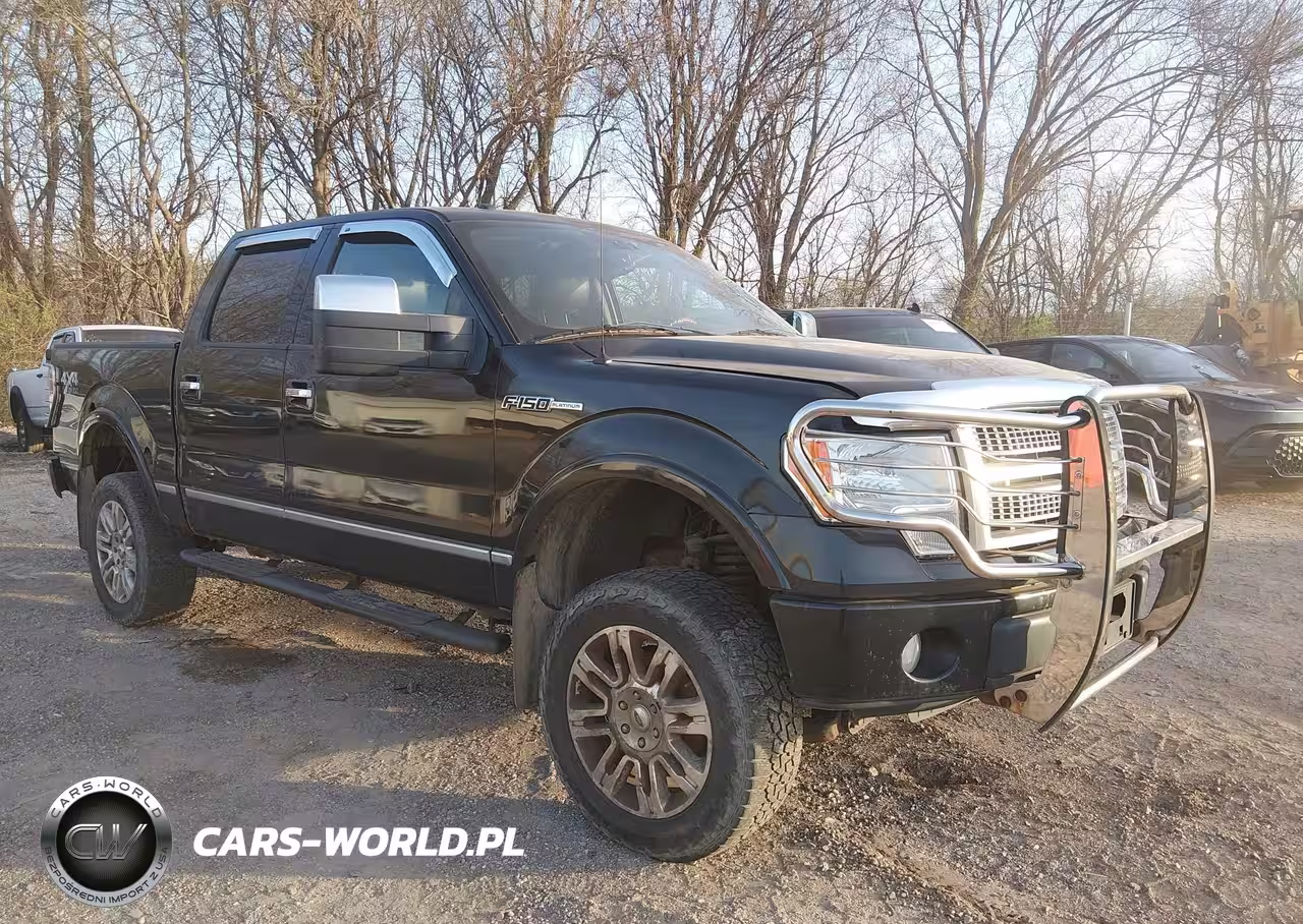 2010 Ford F-150 Fx4-Harley-Davidson-King Ranch-Lariat-Platinum-Xl-Xlt