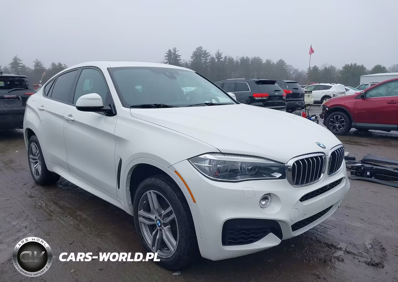 2017 BMW X6 xDrive50I – zdjęcie 1 z 17