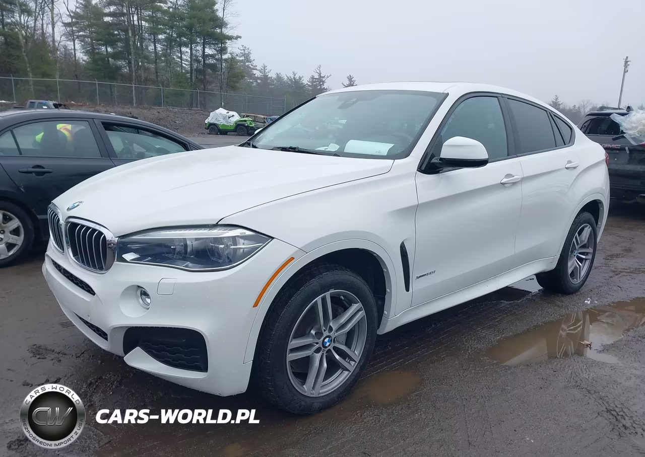 2017 BMW X6 xDrive50I VIN:5UXKU6C36H0W38608 - 2