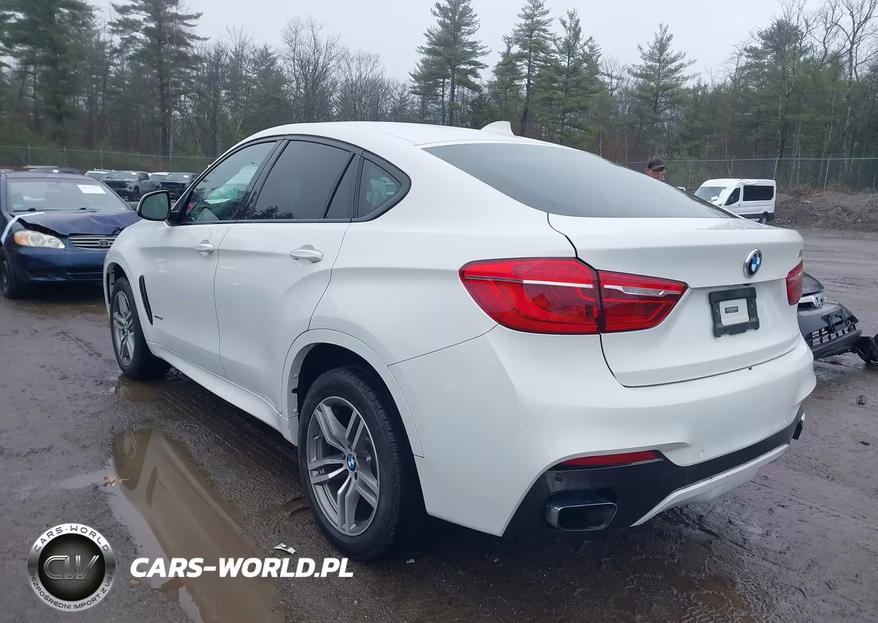 2017 BMW X6 xDrive50I VIN:5UXKU6C36H0W38608 - 3