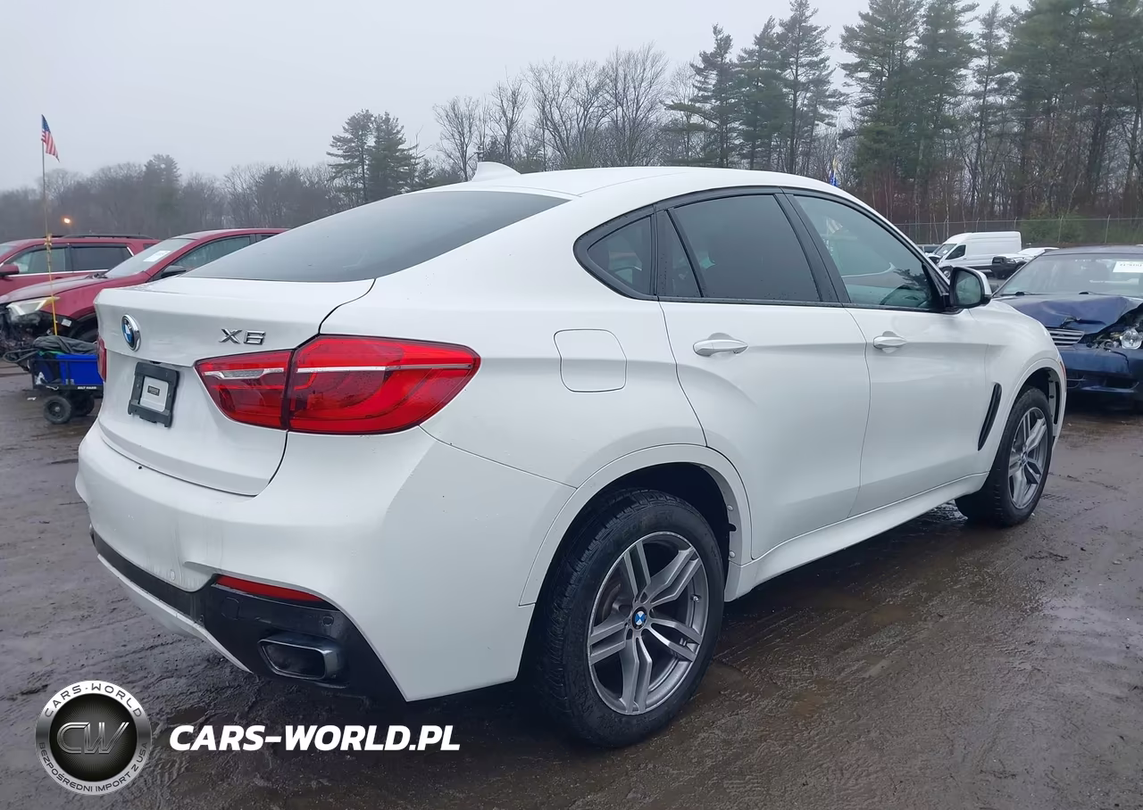 2017 BMW X6 xDrive50I VIN:5UXKU6C36H0W38608 - 4