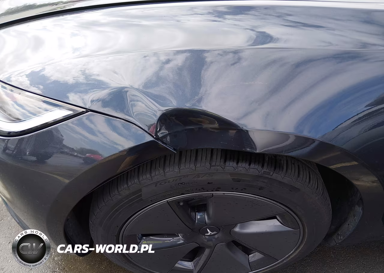 2024 Tesla Model 3 Long Range Dual Motor All-Wheel Drive-Rear-Wheel Drive VIN:5YJ3E1EA1RF721920 - 20