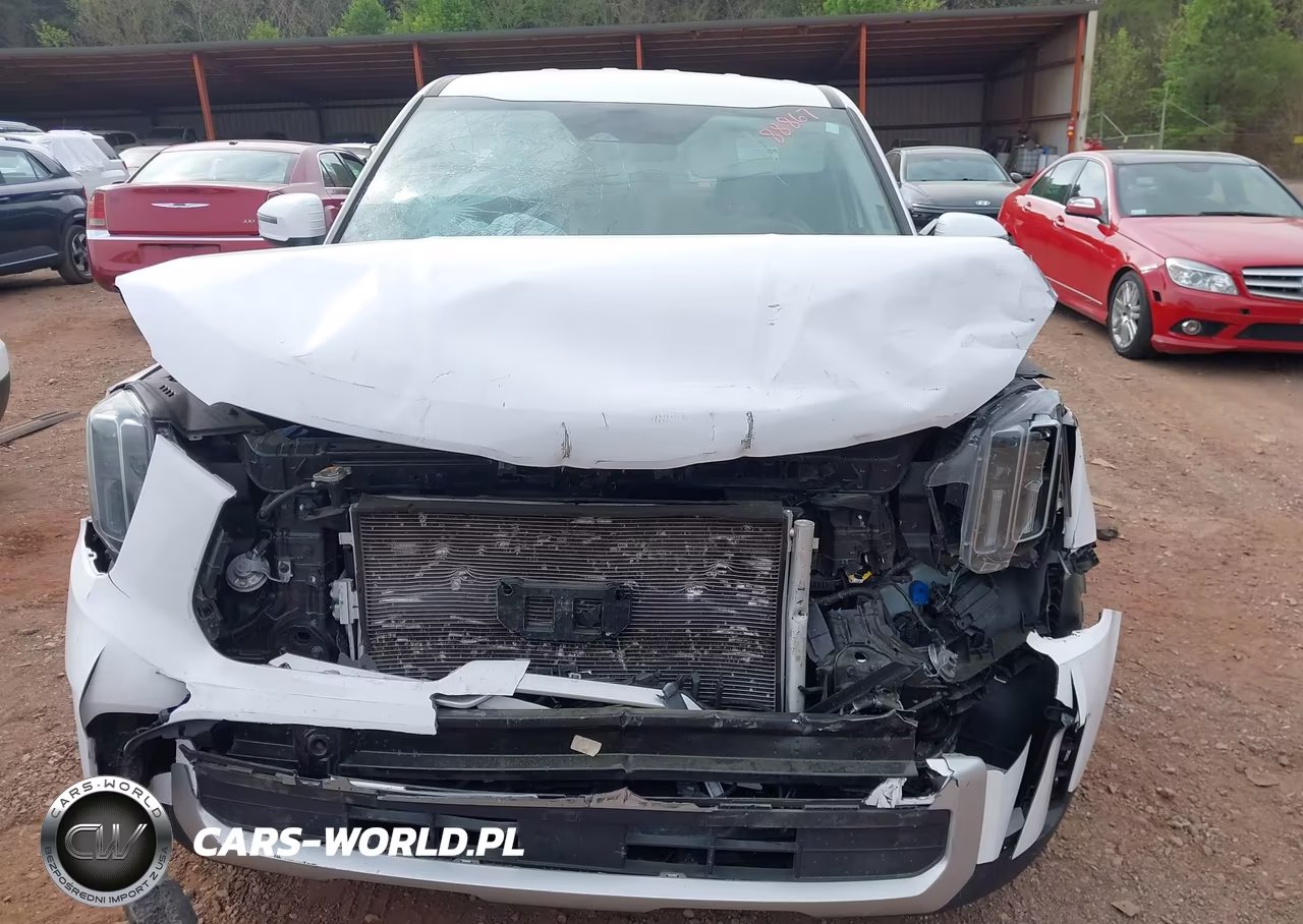 2024 Kia Telluride Lx VIN:5XYP24GCXRG540611 - 12