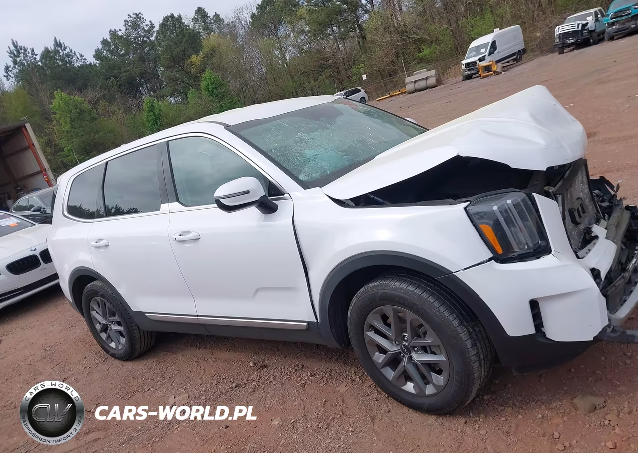 2024 Kia Telluride Lx VIN:5XYP24GCXRG540611 - 13