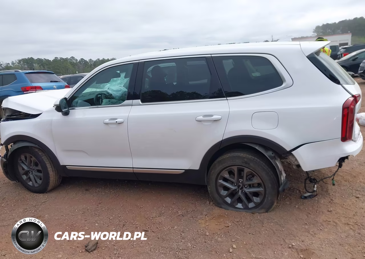 2024 Kia Telluride Lx VIN:5XYP24GCXRG540611 - 14