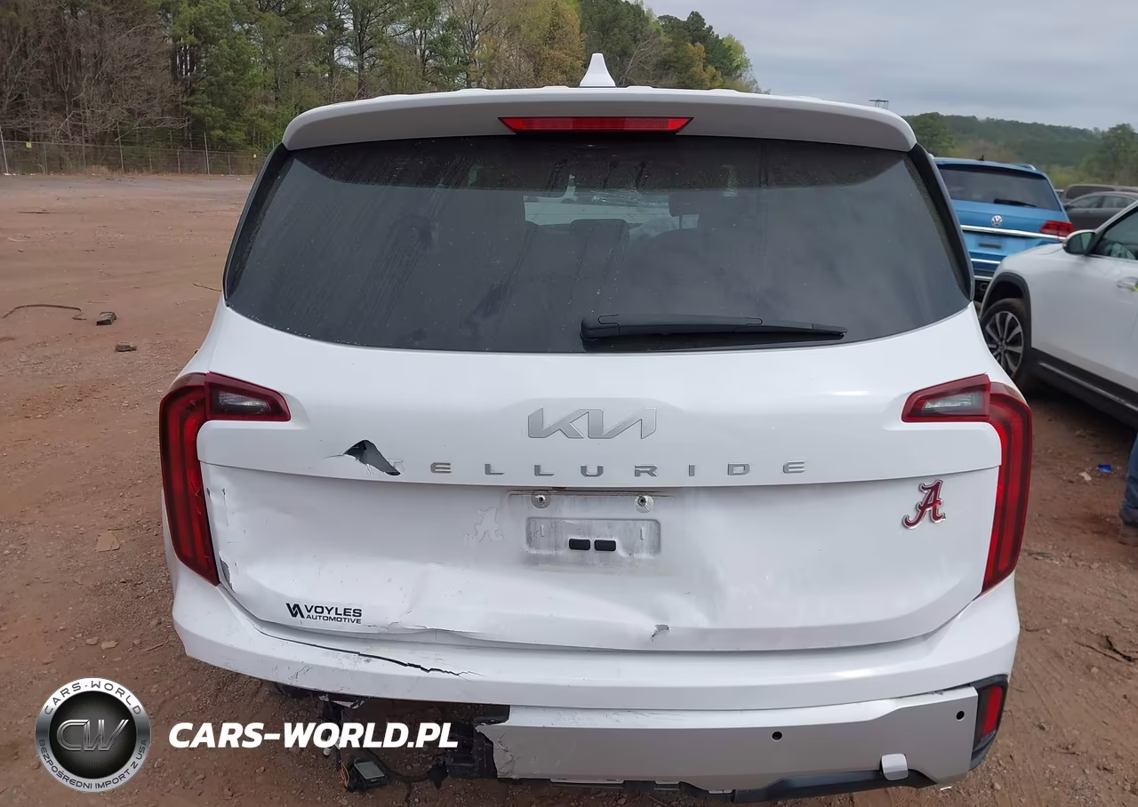 2024 Kia Telluride Lx VIN:5XYP24GCXRG540611 - 16