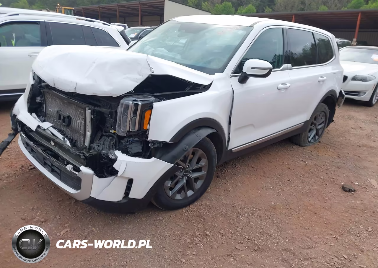2024 Kia Telluride Lx VIN:5XYP24GCXRG540611 - 2
