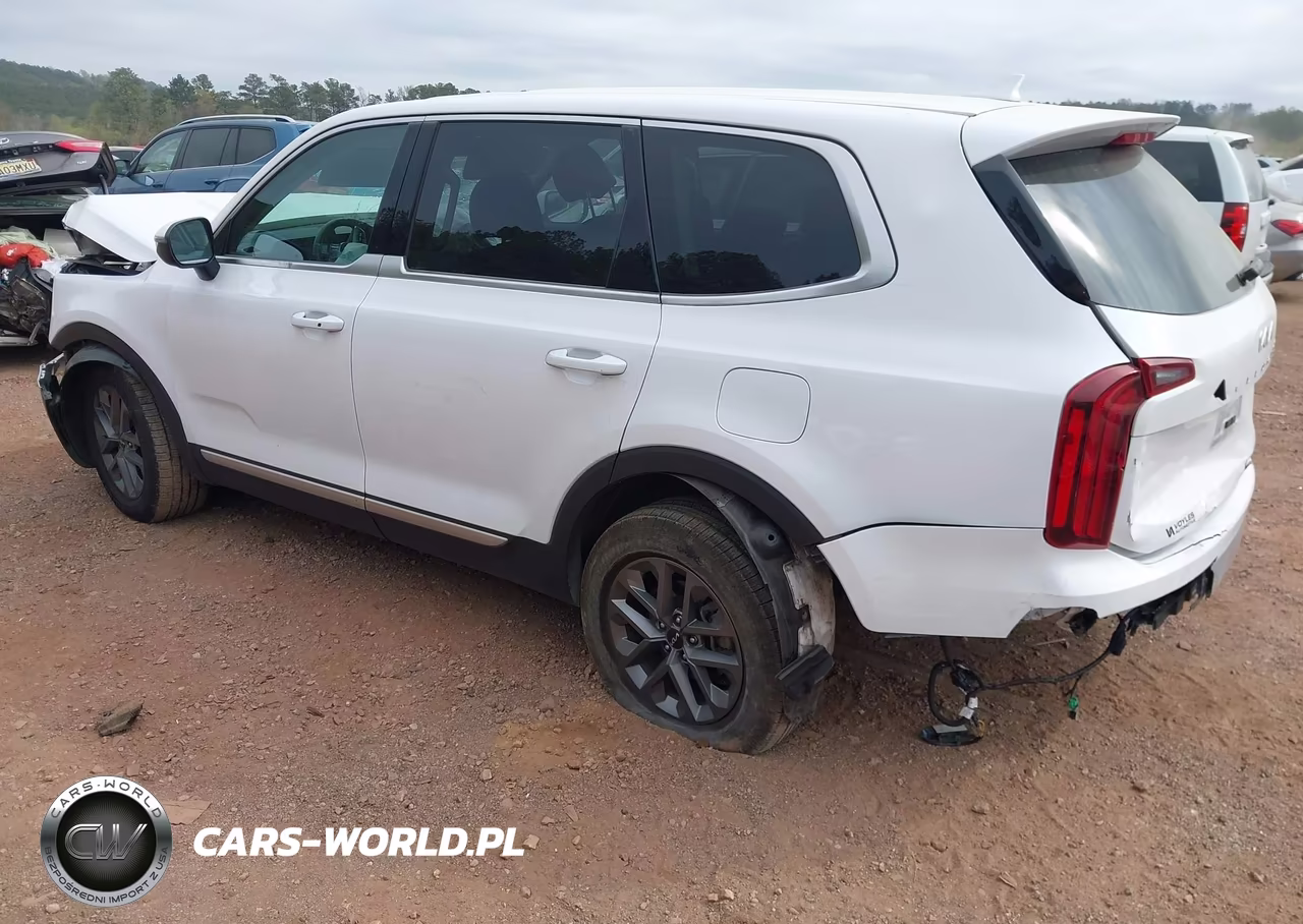 2024 Kia Telluride Lx VIN:5XYP24GCXRG540611 - 3