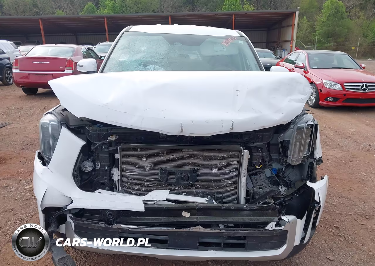 2024 Kia Telluride Lx VIN:5XYP24GCXRG540611 - 6
