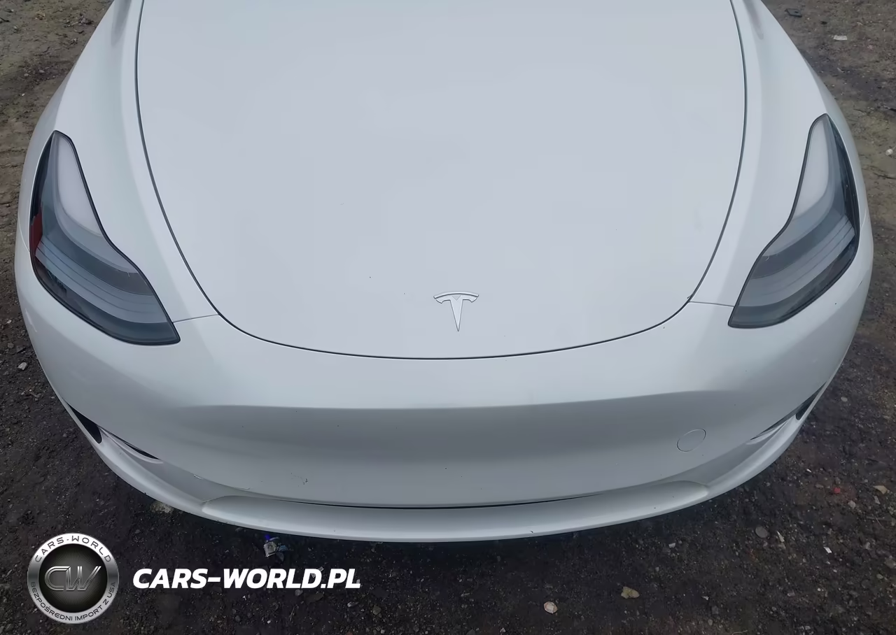 2023 Tesla Model Y Awd-Long Range Dual Motor All-Wheel Drive VIN:7SAYGAEE3PF861227 - 10