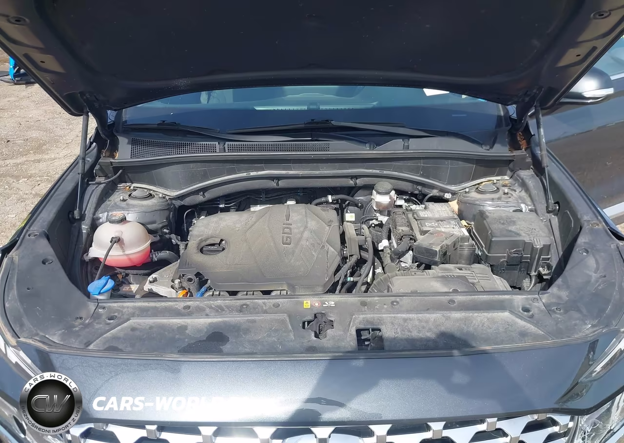 2021 Hyundai Santa Fe Sel VIN:5NMS6DAJ4MH315895 - 10