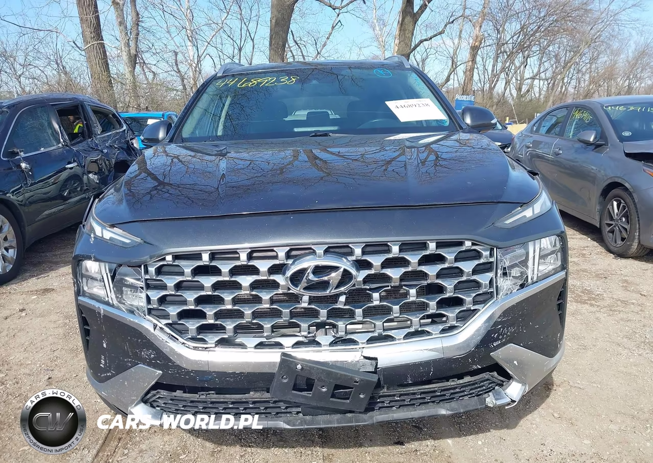 2021 Hyundai Santa Fe Sel VIN:5NMS6DAJ4MH315895 - 12