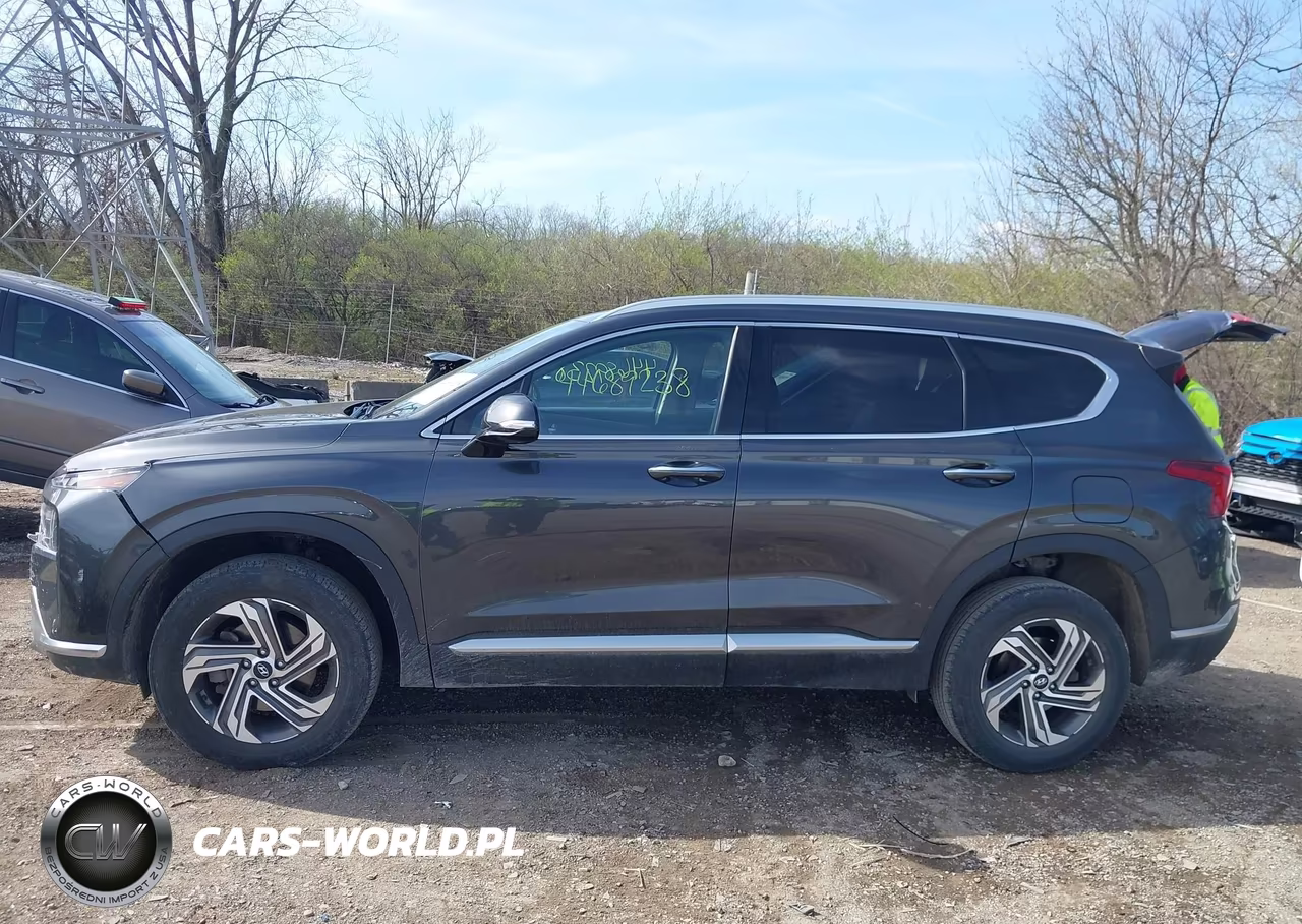 2021 Hyundai Santa Fe Sel VIN:5NMS6DAJ4MH315895 - 14
