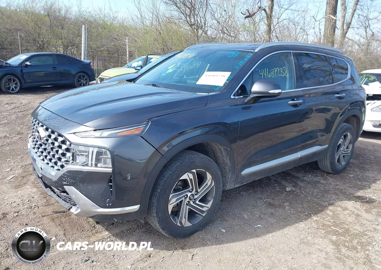 2021 Hyundai Santa Fe Sel VIN:5NMS6DAJ4MH315895 - 2