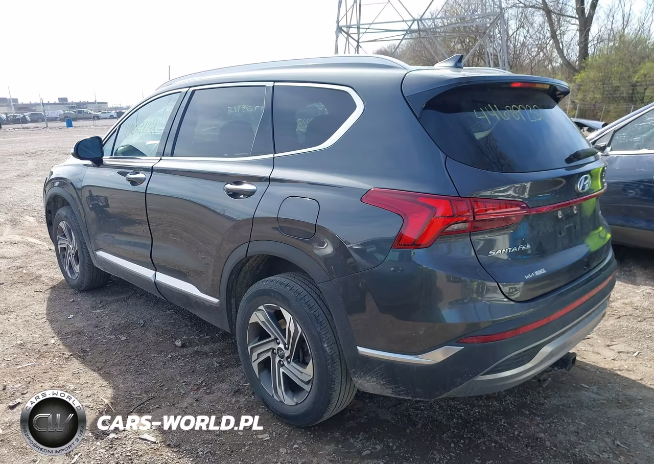 2021 Hyundai Santa Fe Sel VIN:5NMS6DAJ4MH315895 - 3